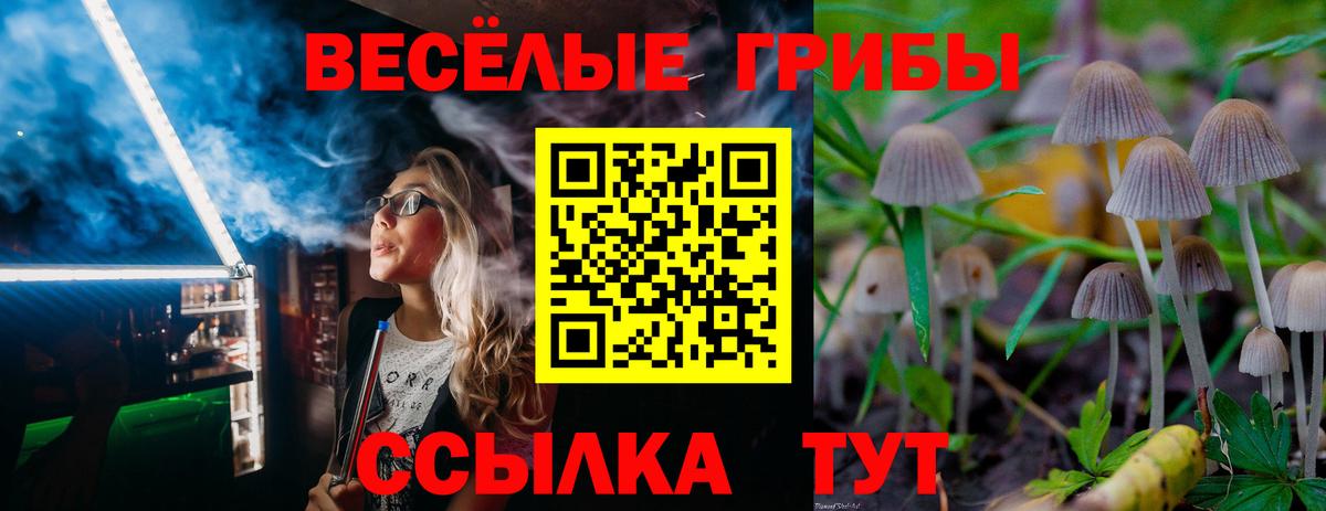 купить наркотик  Псилоцибиновые грибы Psilocybine cubensis  Новоалександровск  Вход с VPN  Галлюциногенные грибы Psilocybe 